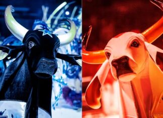 Faltam 100 dias: Caprichoso e Garantido intensificam preparação para o Festival de Parintins