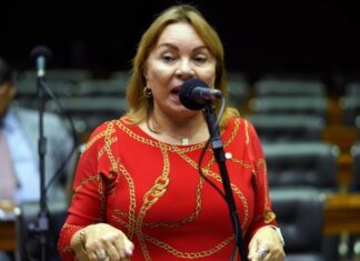 Deputada destinou R$ 2,2 milhões a entidade ligada a esquema no INSS