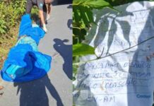 Bilhete macabro ao lado de corpo sem cabeça chama atenção na AM-010