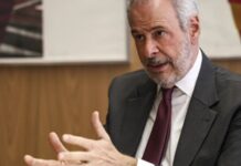 COP30: Mapas do caminho para fim do desmatamento e transição energética serão concluídos até novembro