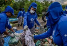 Comunidade tradicional revitaliza manguezais da Baía de Guanabara com projetos ambientais