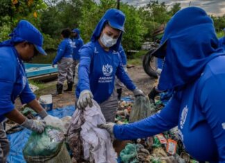 Comunidade tradicional revitaliza manguezais da Baía de Guanabara com projetos ambientais