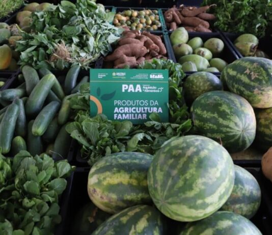 Edital do PAA abre para agricultores indígenas e comunidades tradicionais no Amazonas