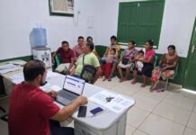 Itamarati busca expandir cultura do coco do murumuru com apoio do Idam