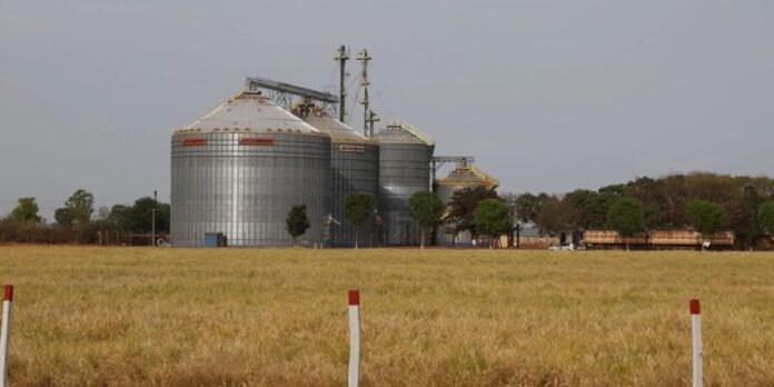 Brasil registra sexto maior crescimento entre economias do G20 em 2025