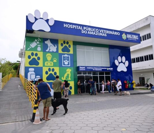 Hospital Público Veterinário do Amazonas atende mais de 26 mil animais em cinco meses