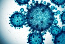 Covid-19: nova variante com múltiplas mutações preocupa especialistas em saúde mundial