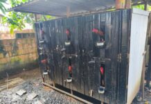 Operação policial acaba com rinha clandestina e apreende 23 galos em Pauini, no AM