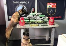 PM apreende 29 kg de drogas durante operações em Codajás e Coari