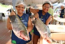 Feirão do Pescado vende 37 toneladas de peixe na Semana Santa em Manaus