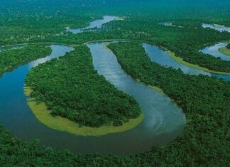 Governo Lula investe R$ 132 milhões para regularizar terras na Amazônia