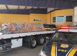 Polícia apreende quase 2 toneladas de maconha escondidas no teto de caminhão