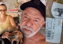 Janja afirma que paca era legalizada; Planalto omite origem da carne