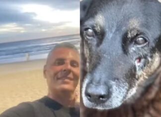 Cão Orelha: Morre indiciado por suposta coação de porteiro