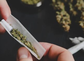 Pesquisa indica que adolescentes que usam maconha têm até o dobro de risco de problemas psiquiátricos