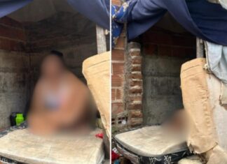 Jovem é detido por tortura após manter namorada adolescente isolada em casinha de cachorro