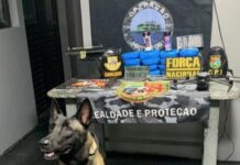 Suspeitos são presos com drogas escondidas em embarcação que seguia para Manaus em Coari