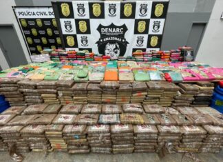 Carga de 700 quilos de skunk é apreendida em operação integrada entre Novo Airão e Manaus
