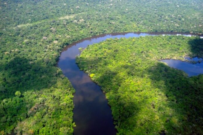 Ipaam_Reducao-desmatamento-Amazonas-em-2025_MapBiomas_Credito-da-foto-2_Reproducao-Internet-28-05-2026-768x512