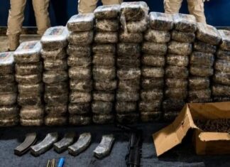Carga de 100 kg de maconha que seguiria para Manaus é interceptada na BR-230