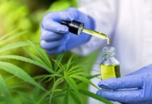 Anvisa muda regras e libera prescrição mais simples para cannabis com baixo THC