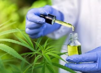Anvisa muda regras e libera prescrição mais simples para cannabis com baixo THC