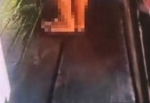 Caso de violência doméstica em Novo Aripuanã termina com prisão após divulgação de vídeo íntimo de gestante