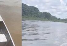 Homem morto a tiros é achado boiando em região do Baixo Solimões no Amazonas