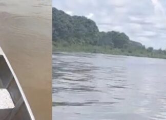 Homem morto a tiros é achado boiando em região do Baixo Solimões no Amazonas