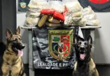 Dupla é presa com mais de 90 kg de drogas em ferryboat que seguia para Manaus