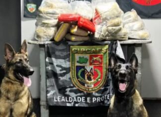 Dupla é presa com mais de 90 kg de drogas em ferryboat que seguia para Manaus