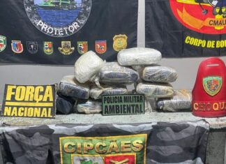 Polícia apreende 11 quilos de skunk em bagagem e prende passageira no Amazonas