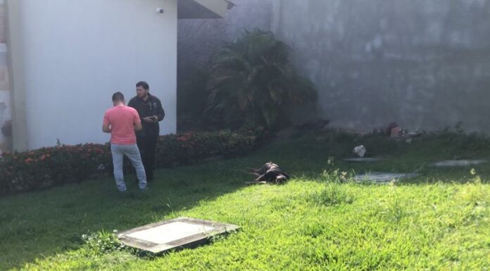 Corpo de homem é encontrado em pátio de igreja após tentativa de furto de fios em Manaus