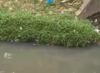 Corpo de jovem é encontrado em igarapé na Compensa em Manaus