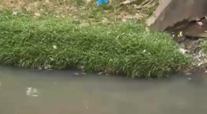 Corpo de jovem é encontrado em igarapé na Compensa em Manaus