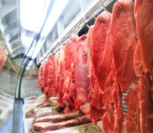 União Europeia barra importação de produtos de origem animal do Brasil