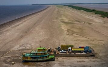 Amazonas pode enfrentar seca extrema em 2026 com impacto do El Niño, diz governo