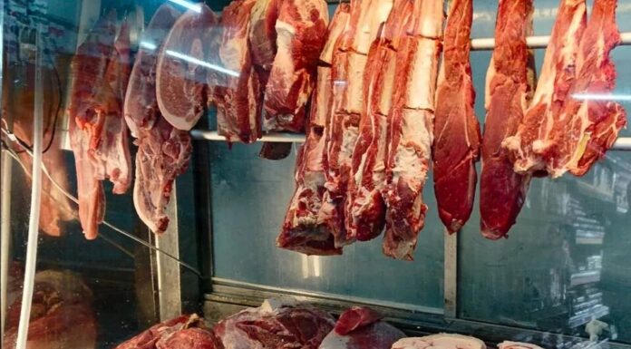 União Europeia barra carne brasileira e impõe nova restrição ao agronegócio nacional