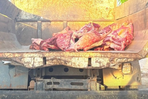carne