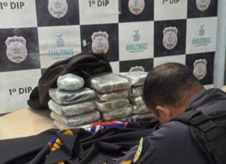 Operação no Porto de Manaus termina com jovem preso por tráfico de drogas