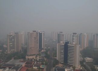 Amazonas teme nova onda de fumaça com aumento das queimadas durante o El Niño