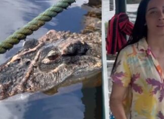 Influencer registra momento inusitado ao tentar entrar no Rio Negro cercado por jacarés