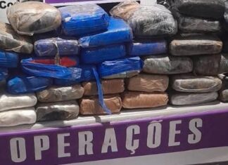 Ferry boat é abordado e polícia encontra 49 tabletes de skunk escondidos em embarcação no AM