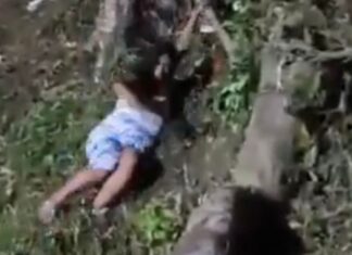 Ela não queria ir embora: mulher faz manobra inusitada para pegar barco após Parintins