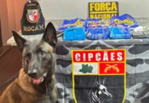 Homem tenta camuflar pasta base de cocaína em pacotes de salgadinhos e acaba preso em Coari