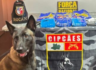 Homem tenta camuflar pasta base de cocaína em pacotes de salgadinhos e acaba preso em Coari