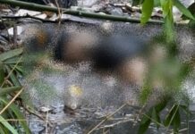 Corpo é encontrado boiando em igarapé na avenida Constantino Nery, em Manaus