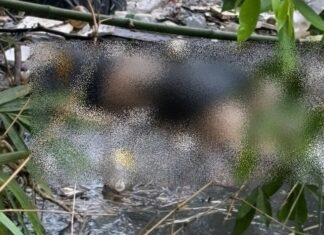Corpo é encontrado boiando em igarapé na avenida Constantino Nery, em Manaus
