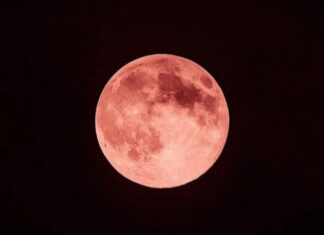 Lua cheia de junho aparece no céu nesta noite; veja dicas para acompanhar de Manaus