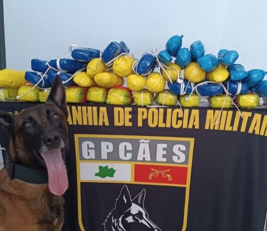 SSP-AM apreende carga de cocaína em barco durante ação no interior do Amazonas